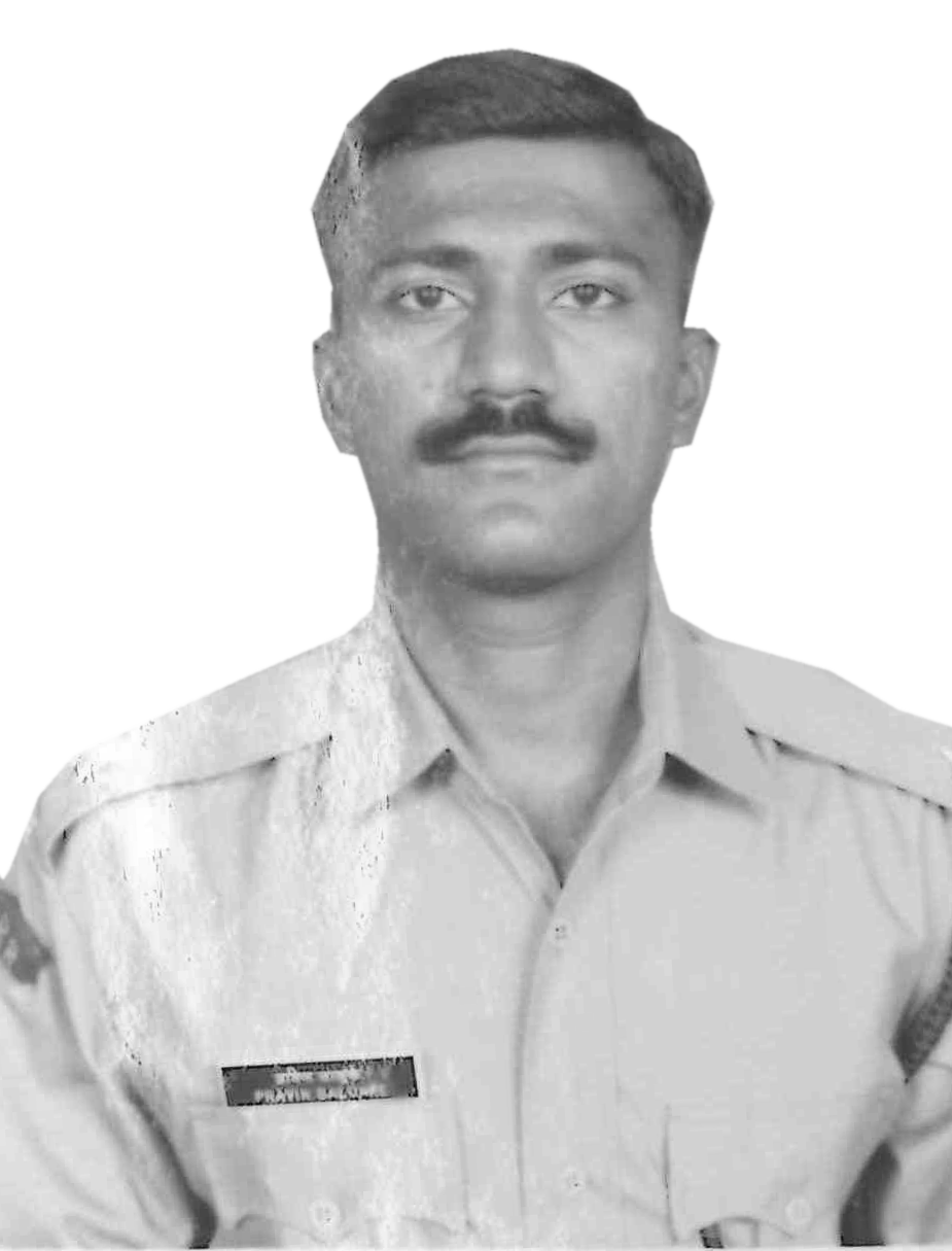 Salunke Pravin S. 